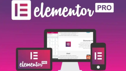 Elementor Pro – Plugin